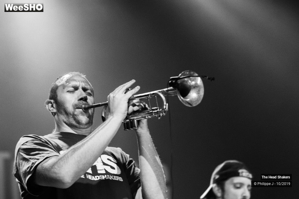 8/10 photos du spectacle The Head Shakers
