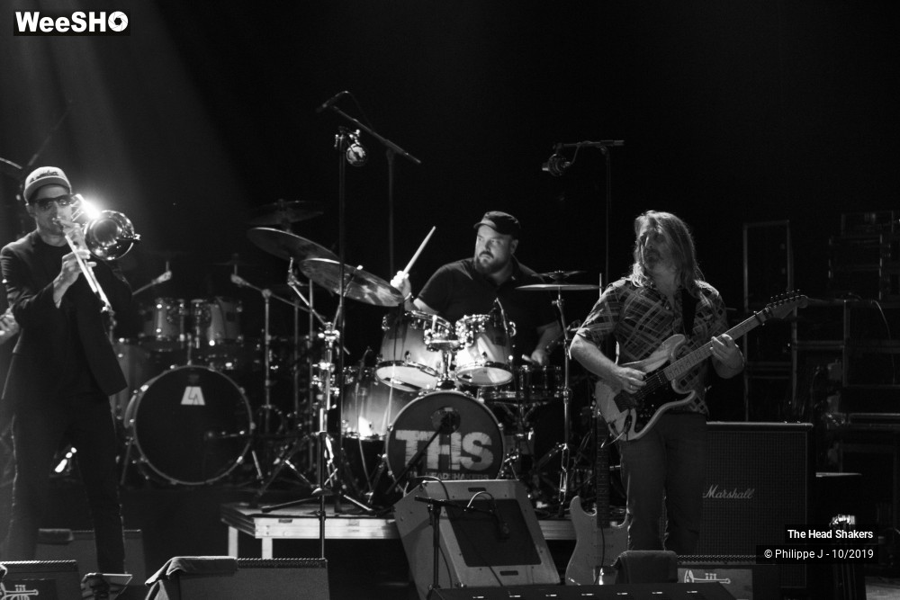 9/10 photos du spectacle The Head Shakers