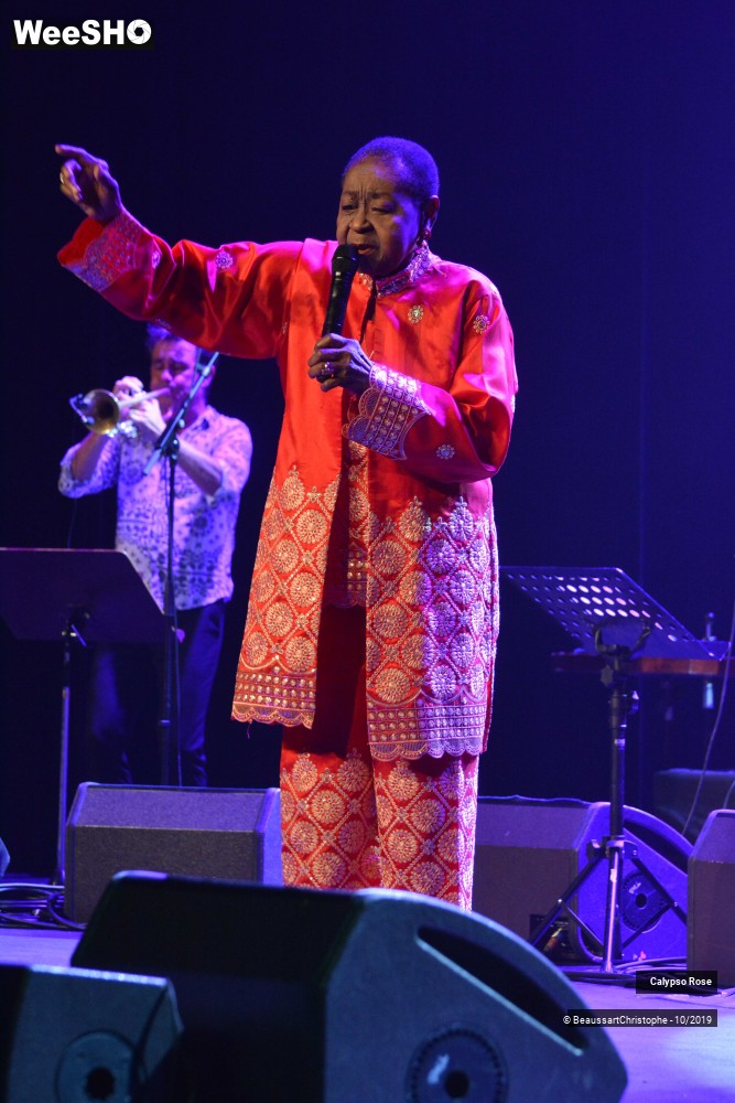 8/36 photos du spectacle Calypso Rose