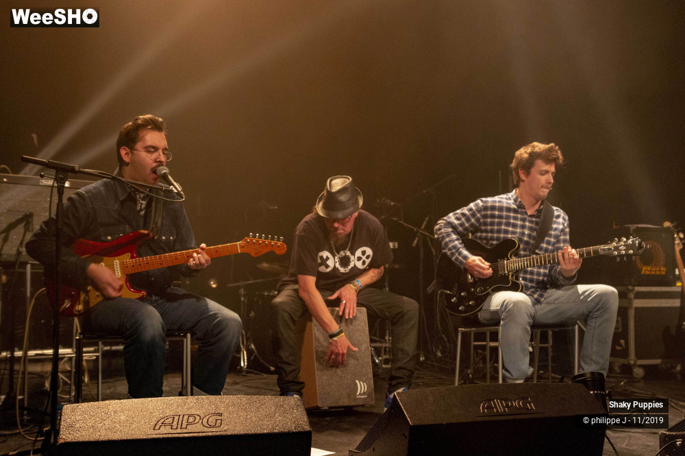 1/6 photos du spectacle Shaky Puppies