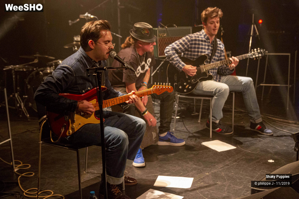 2/6 photos du spectacle Shaky Puppies