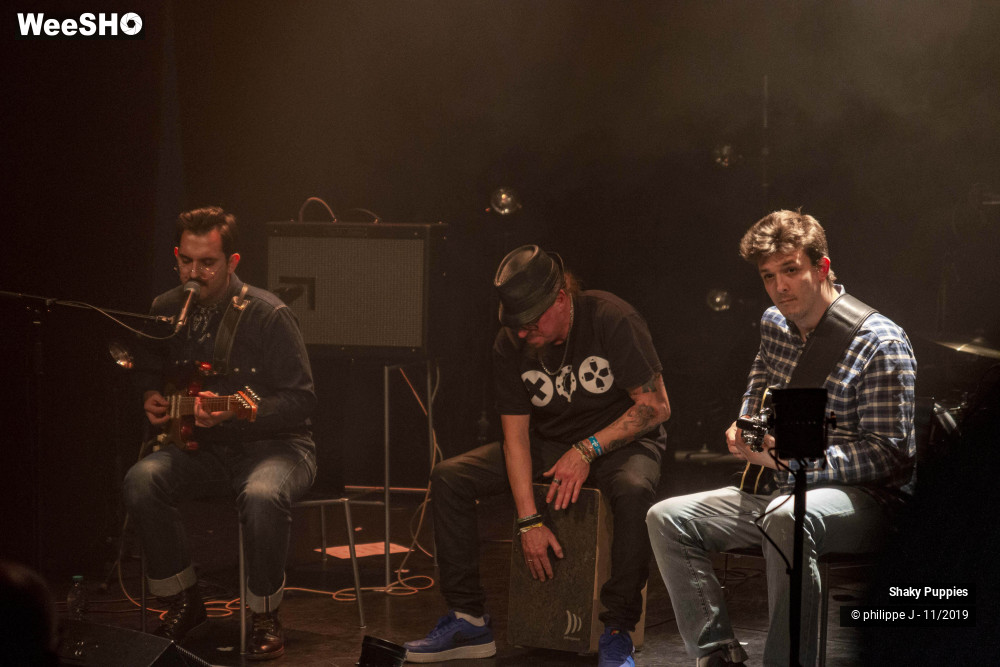 3/6 photos du spectacle Shaky Puppies