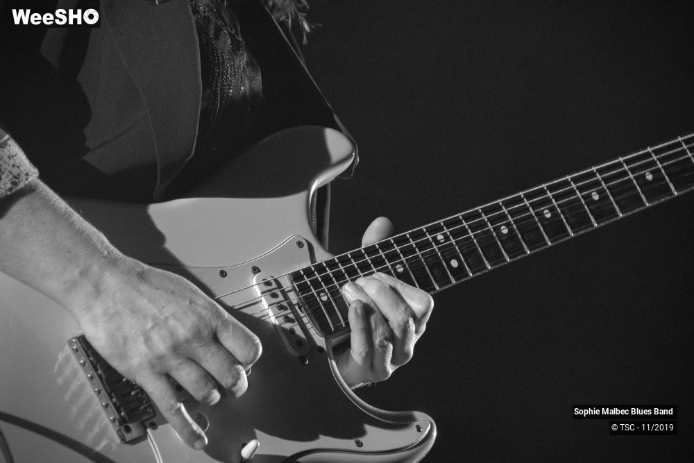 7/21 photos du spectacle Sophie Malbec Blues Band