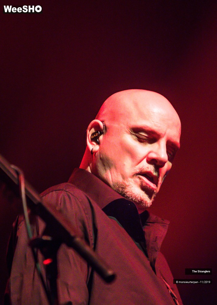 7/30 photos du spectacle The Stranglers