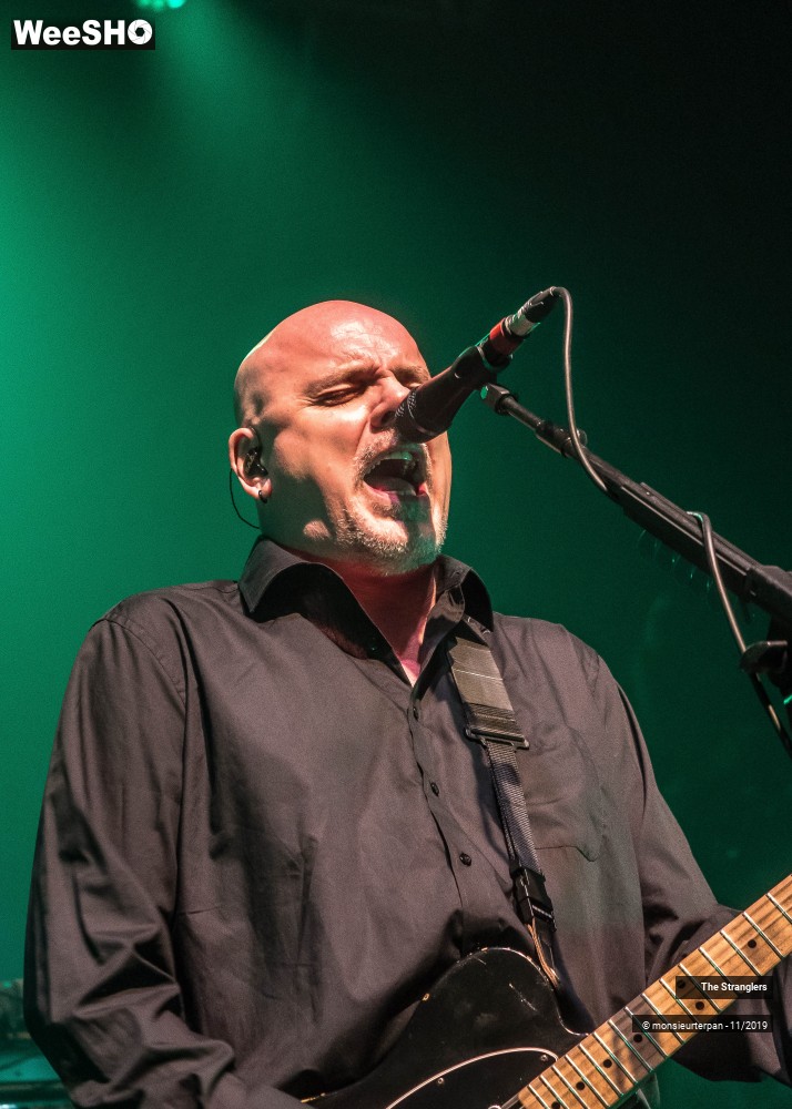 14/30 photos du spectacle The Stranglers
