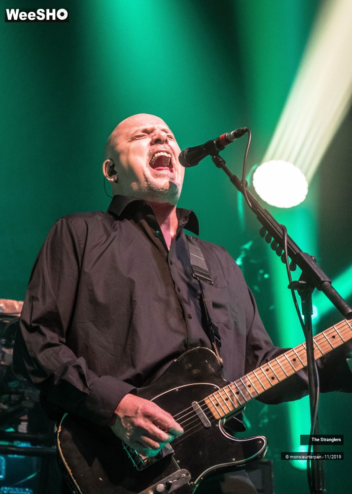 15/30 photos du spectacle The Stranglers