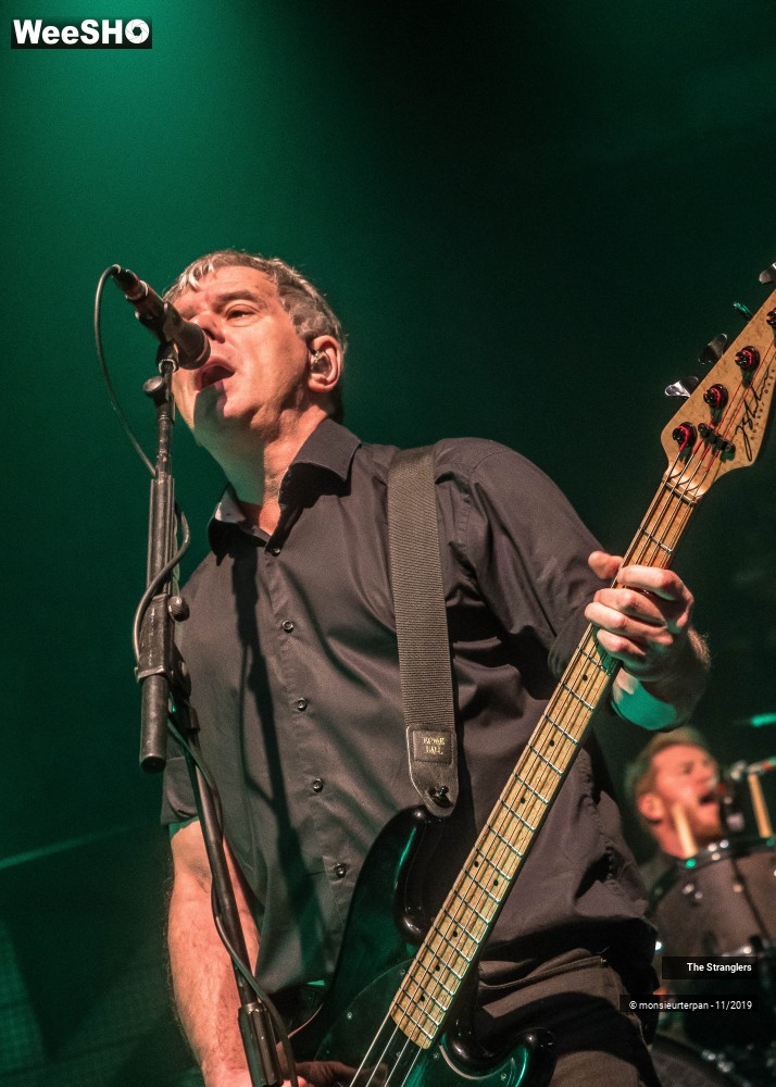 17/30 photos du spectacle The Stranglers