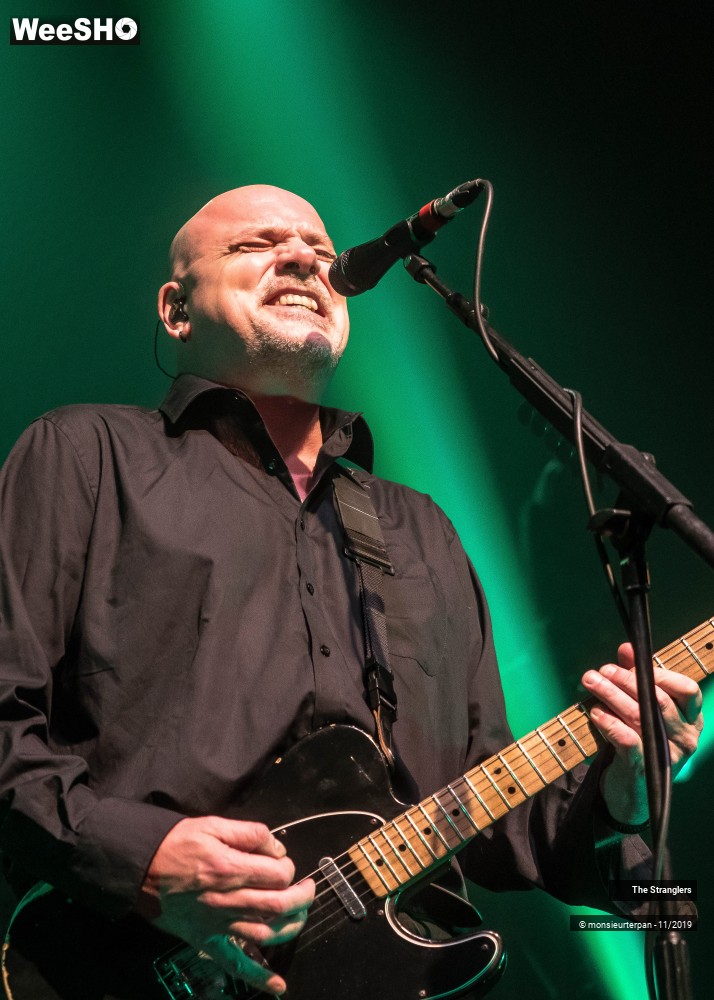 18/30 photos du spectacle The Stranglers