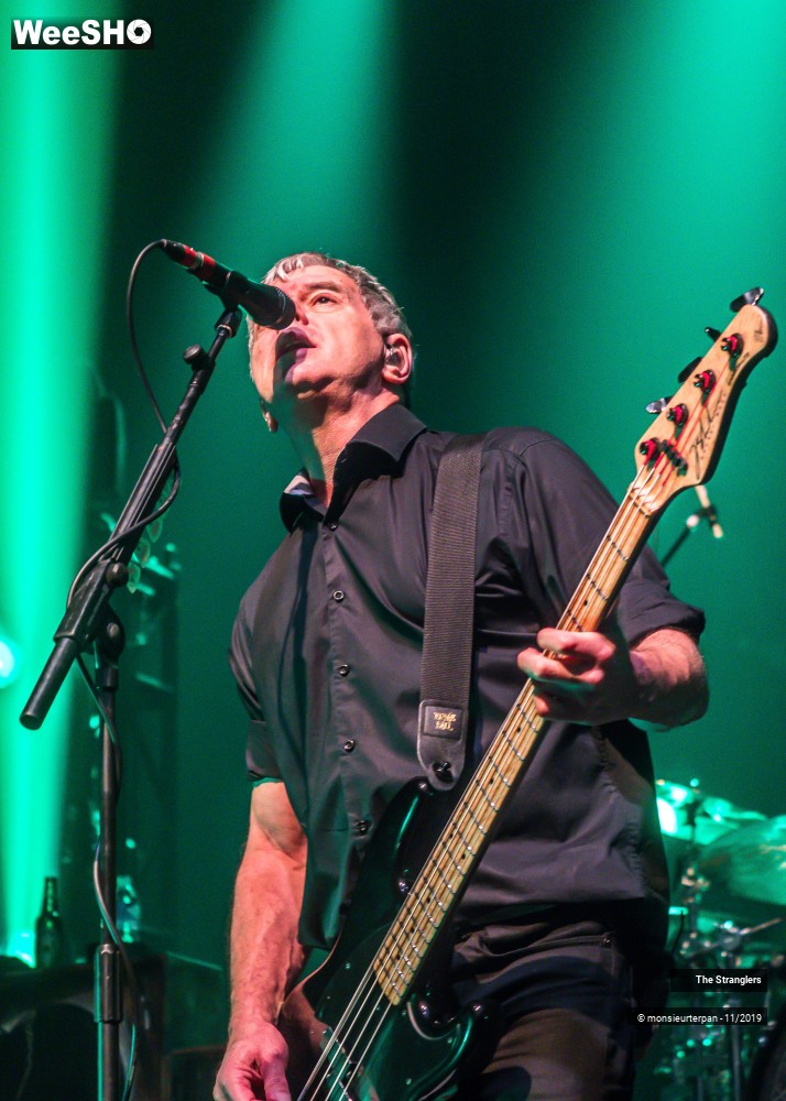 19/30 photos du spectacle The Stranglers