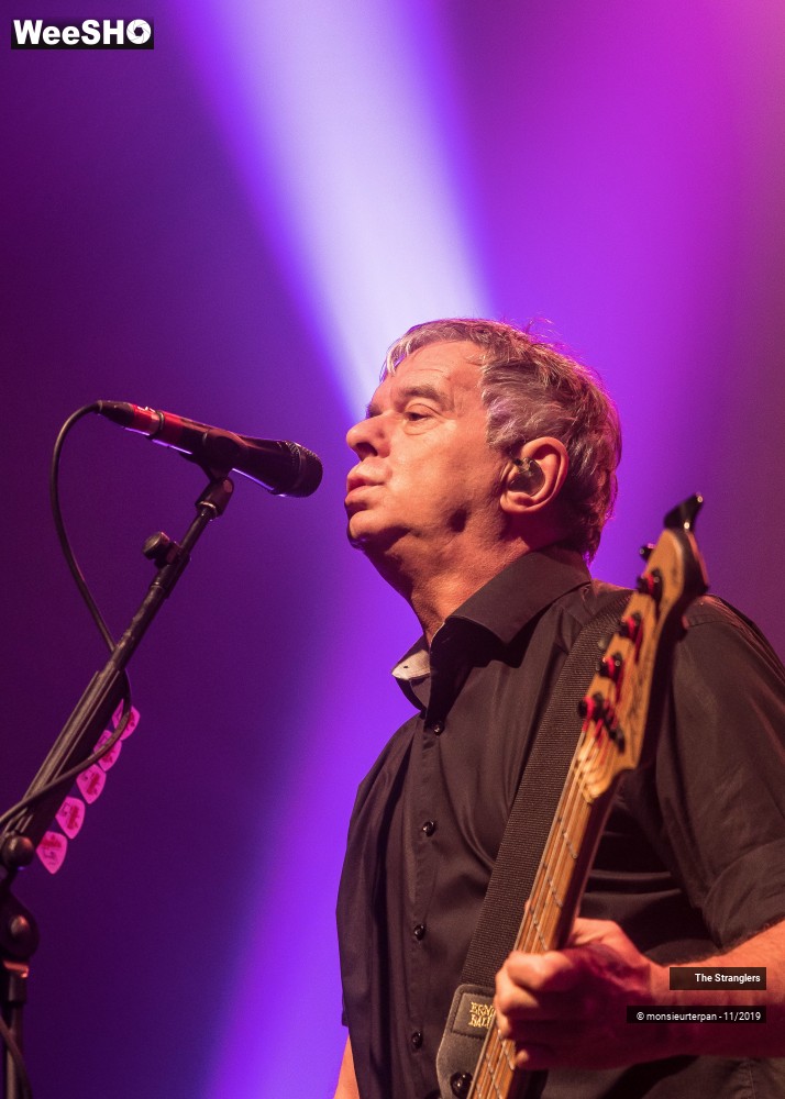 20/30 photos du spectacle The Stranglers