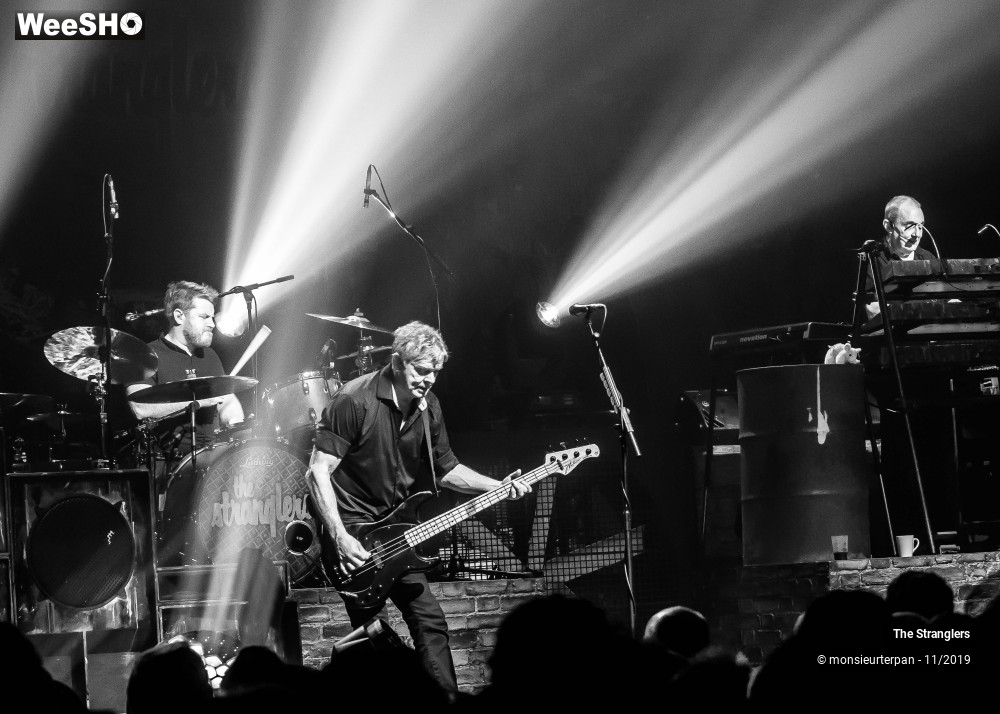 21/30 photos du spectacle The Stranglers