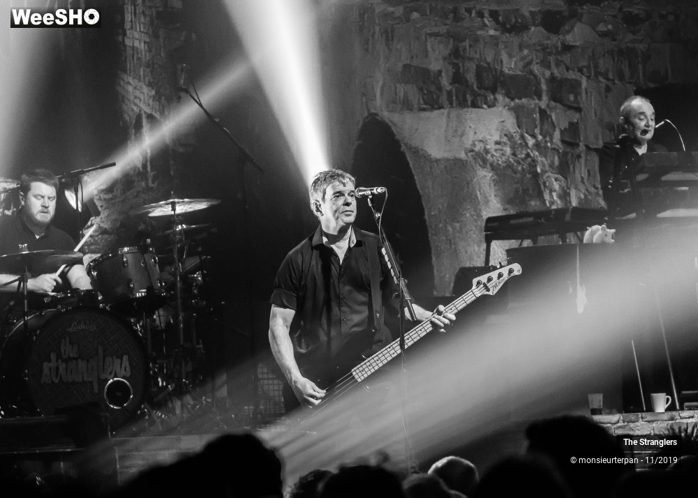 22/30 photos du spectacle The Stranglers