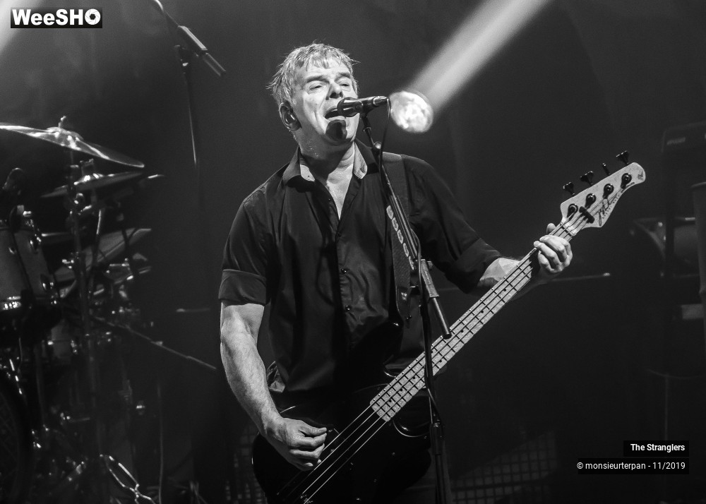 24/30 photos du spectacle The Stranglers