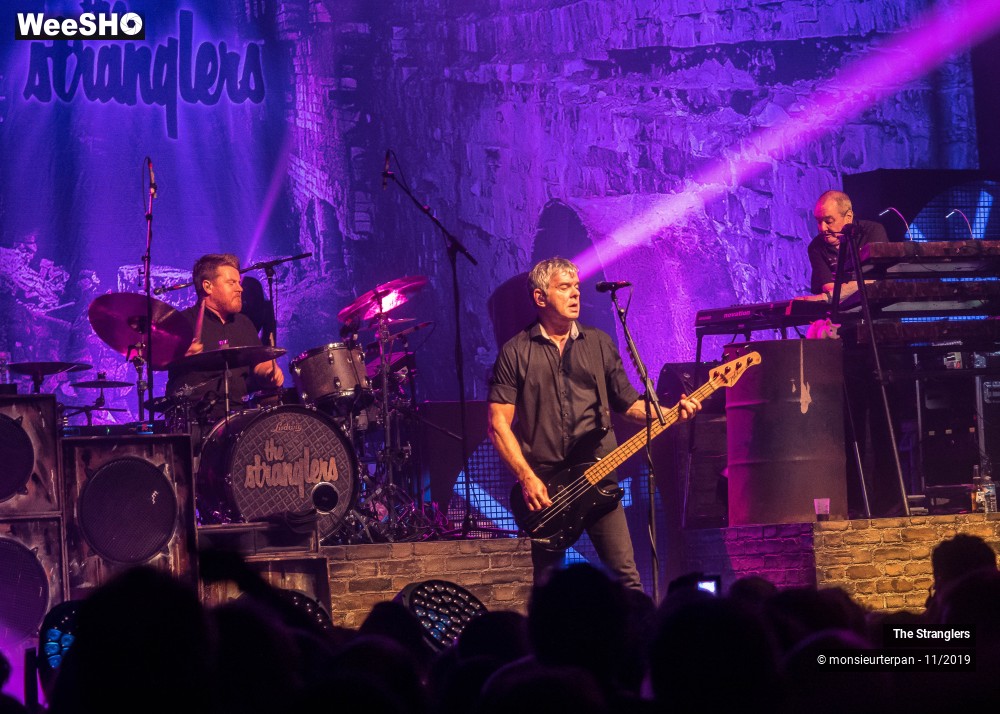 28/30 photos du spectacle The Stranglers