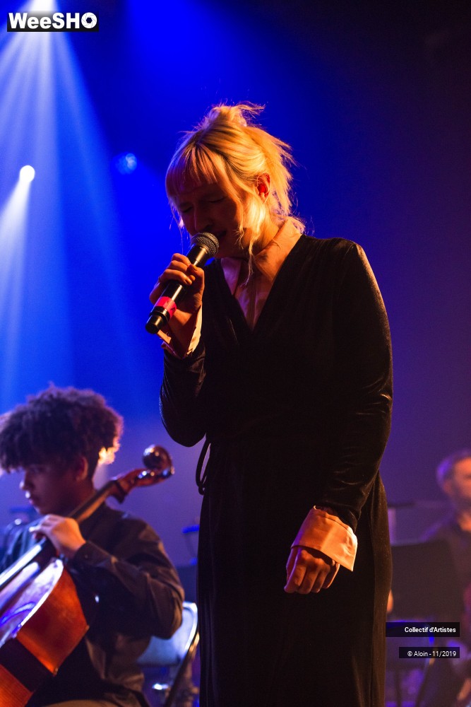 8/35 photos du spectacle Osez Bashung : Fantaisie symphonique