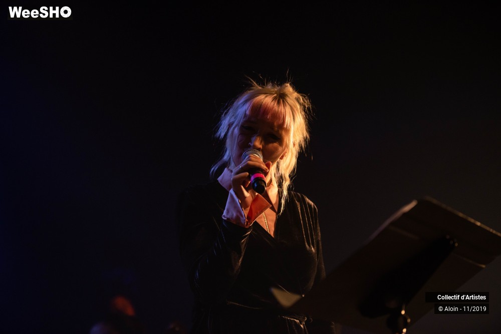 9/35 photos du spectacle Osez Bashung : Fantaisie symphonique