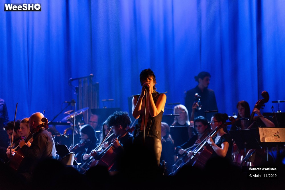 14/35 photos du spectacle Osez Bashung : Fantaisie symphonique