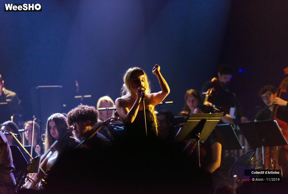 25/35 photos du spectacle Osez Bashung : Fantaisie symphonique