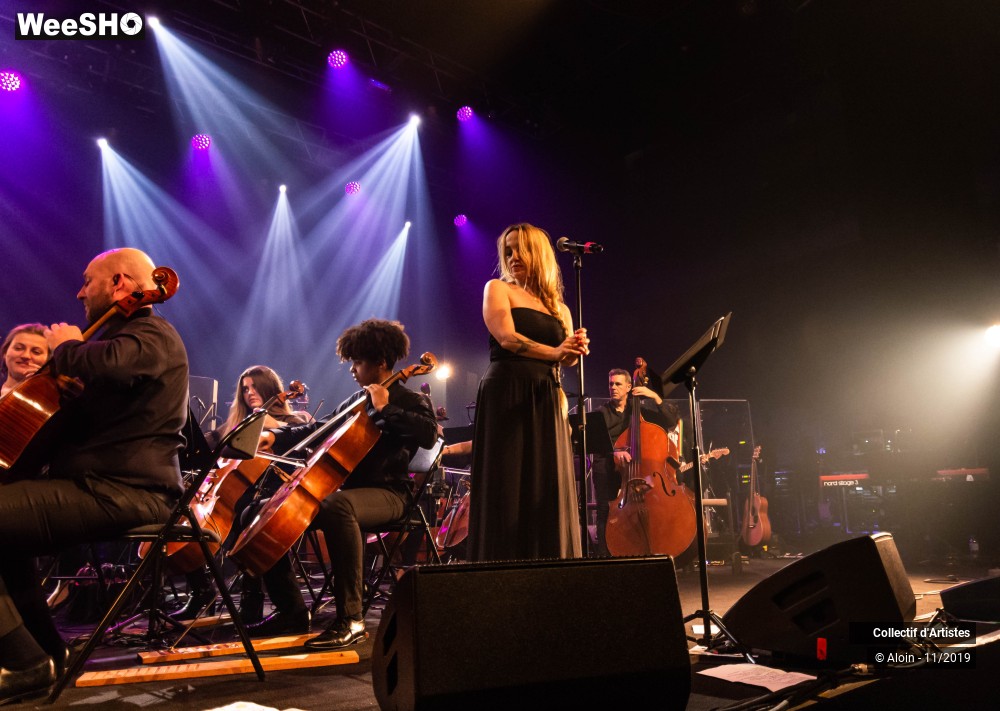 28/35 photos du spectacle Osez Bashung : Fantaisie symphonique
