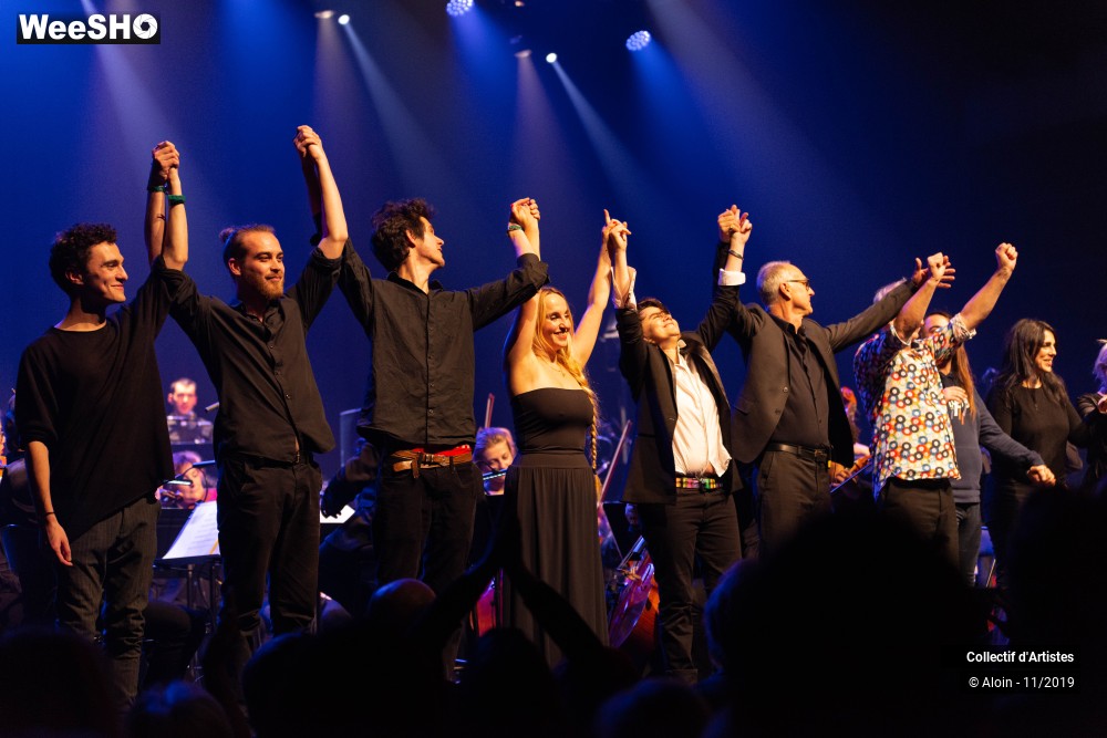 29/35 photos du spectacle Osez Bashung : Fantaisie symphonique
