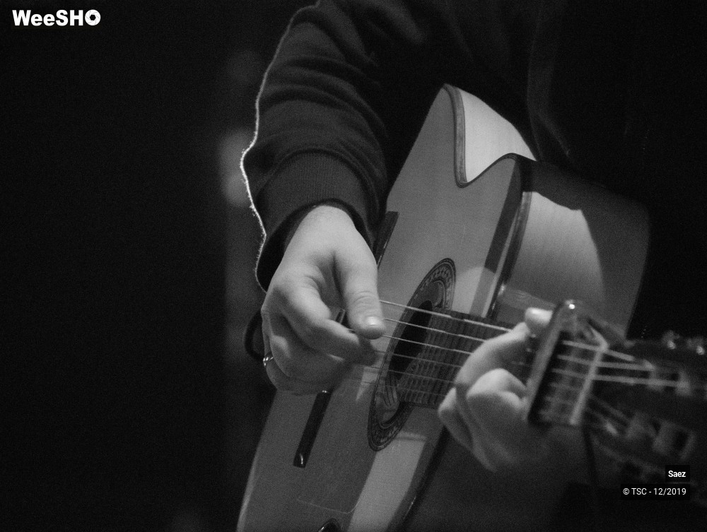 5/15 photos du spectacle Saez