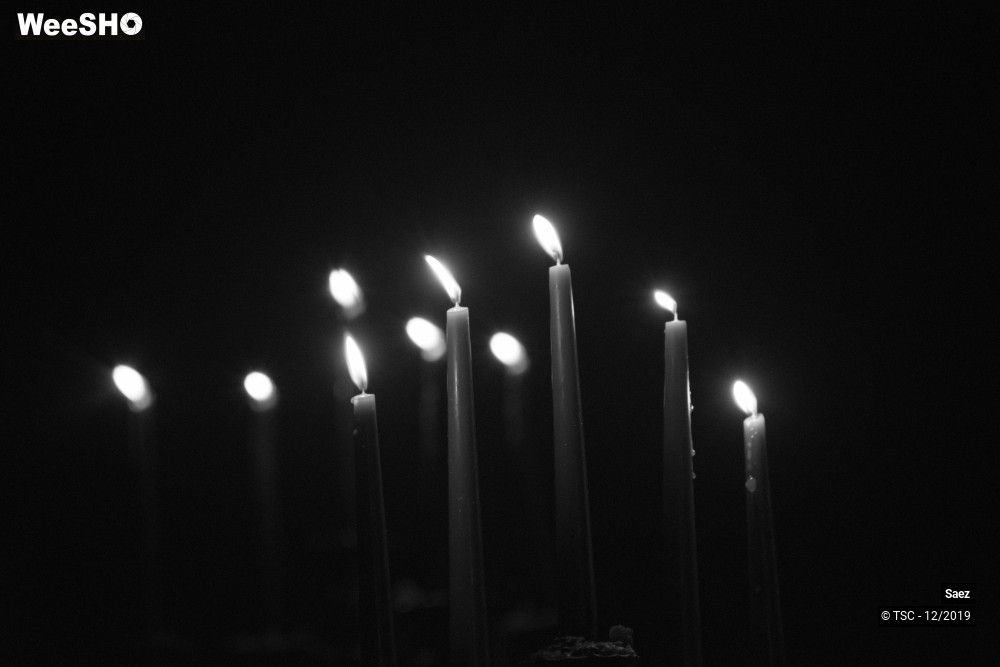 10/15 photos du spectacle Saez