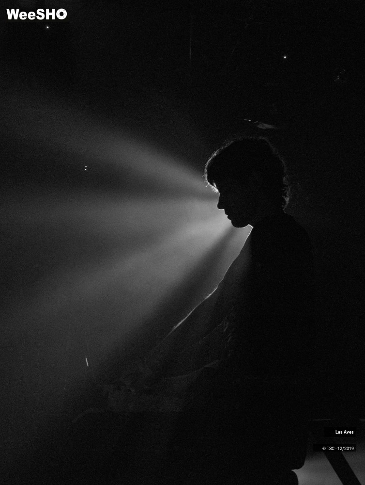1/14 photos du spectacle Las Aves