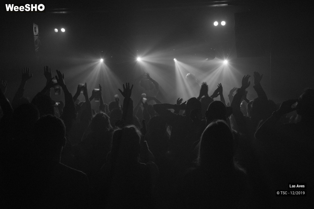 6/14 photos du spectacle Las Aves