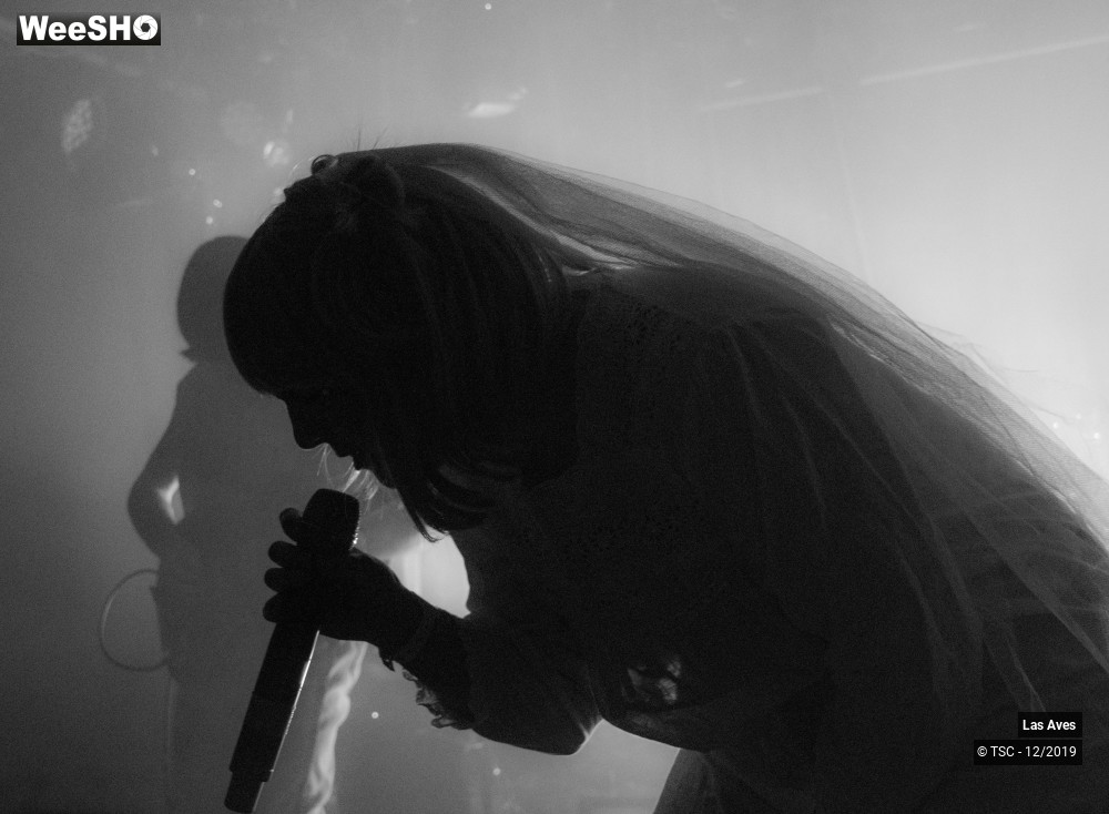 14/14 photos du spectacle Las Aves