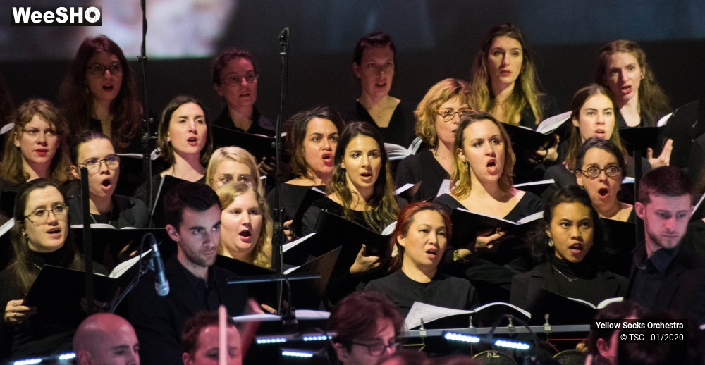2/36 photos du spectacle The Fellowship of the ring en ciné concert