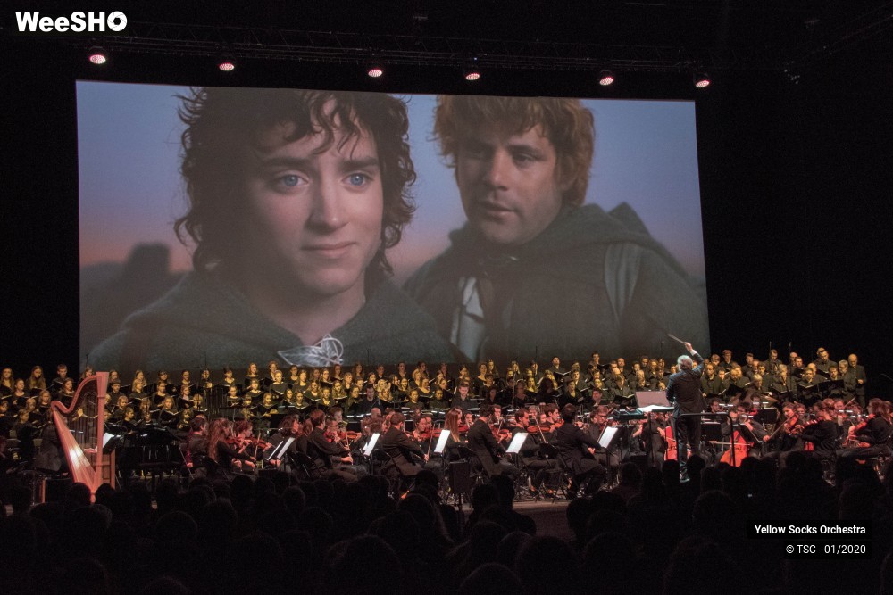 6/36 photos du spectacle The Fellowship of the ring en ciné concert