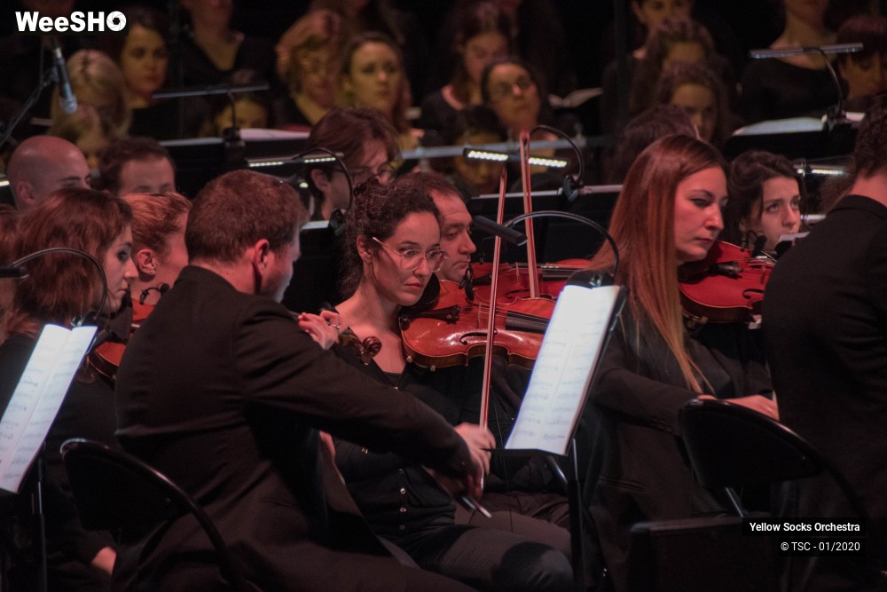 8/36 photos du spectacle The Fellowship of the ring en ciné concert