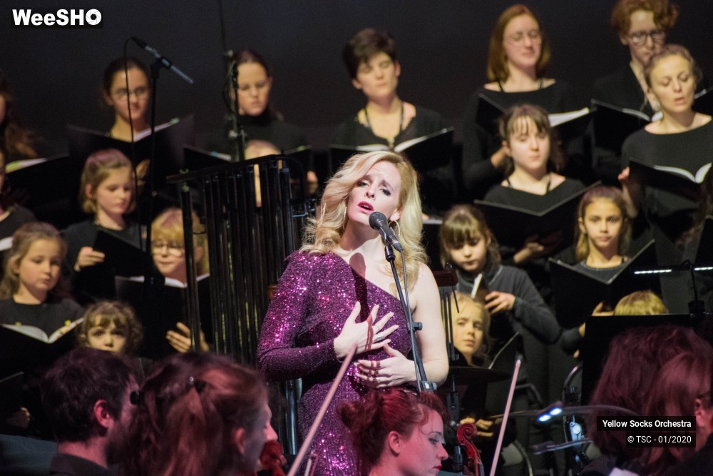 9/36 photos du spectacle The Fellowship of the ring en ciné concert