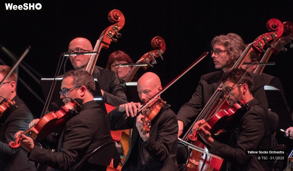 11/36 photos du spectacle The Fellowship of the ring en ciné concert