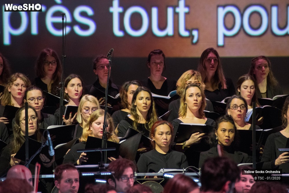 14/36 photos du spectacle The Fellowship of the ring en ciné concert