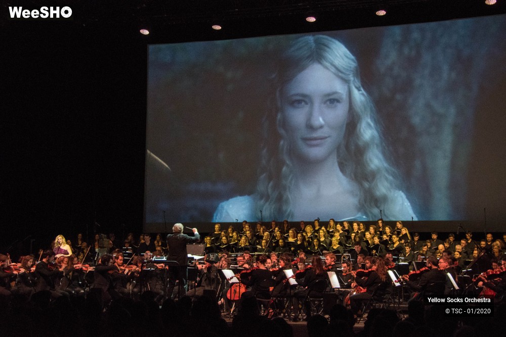 18/36 photos du spectacle The Fellowship of the ring en ciné concert
