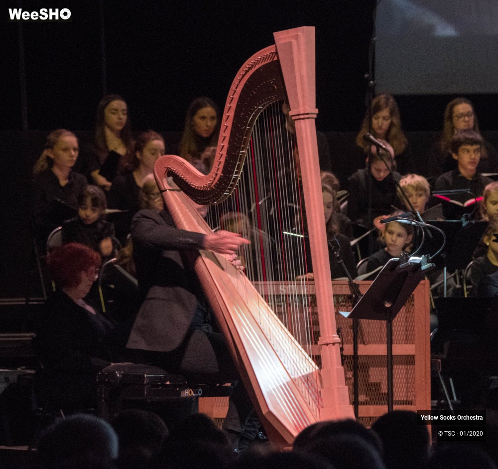 19/36 photos du spectacle The Fellowship of the ring en ciné concert