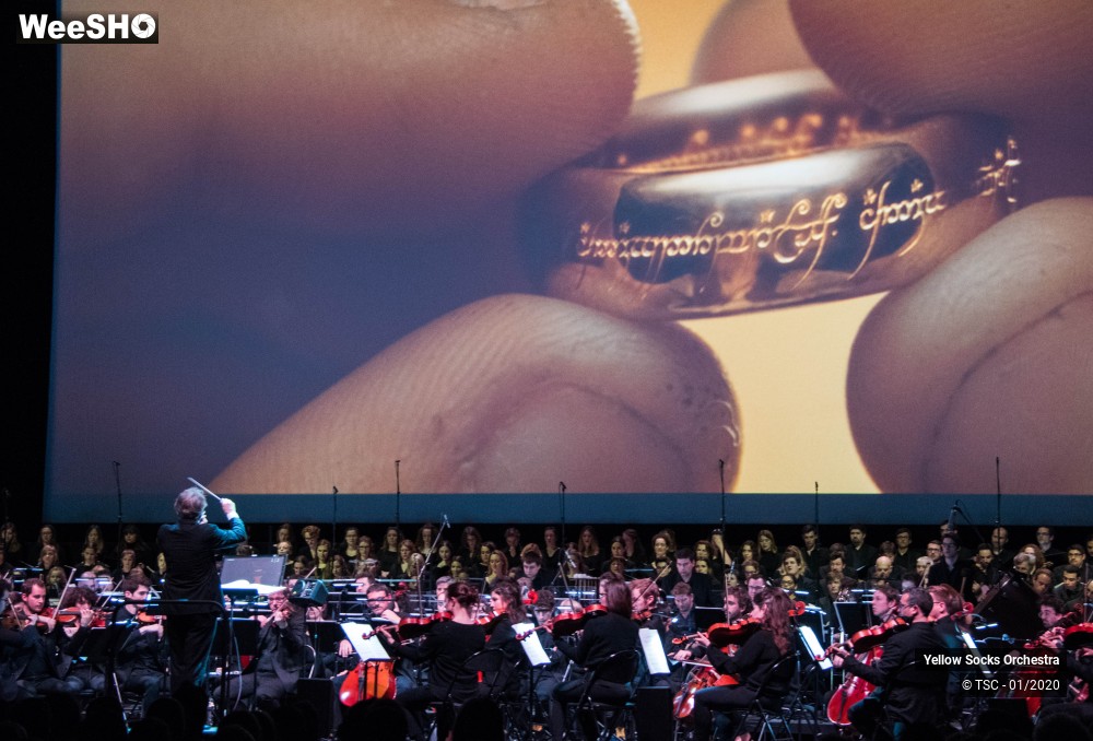 22/36 photos du spectacle The Fellowship of the ring en ciné concert