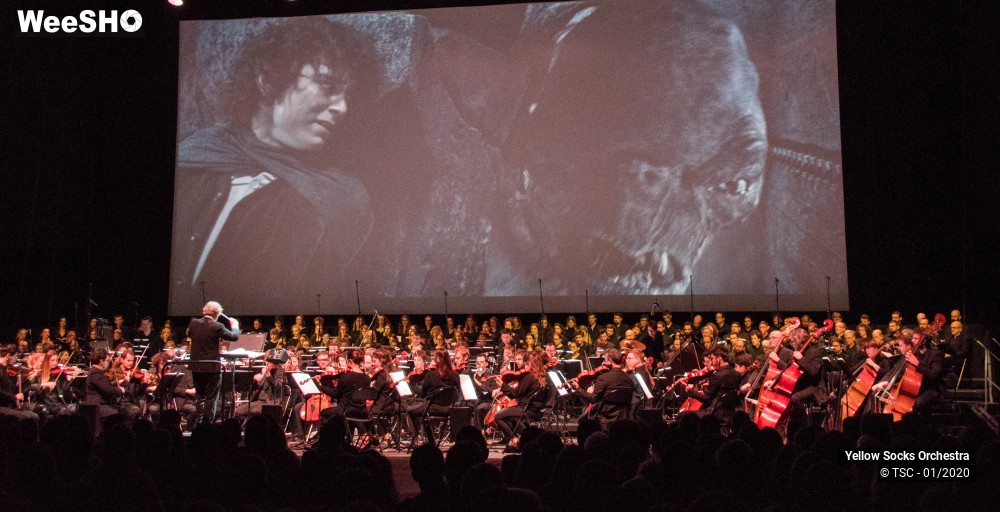 23/36 photos du spectacle The Fellowship of the ring en ciné concert