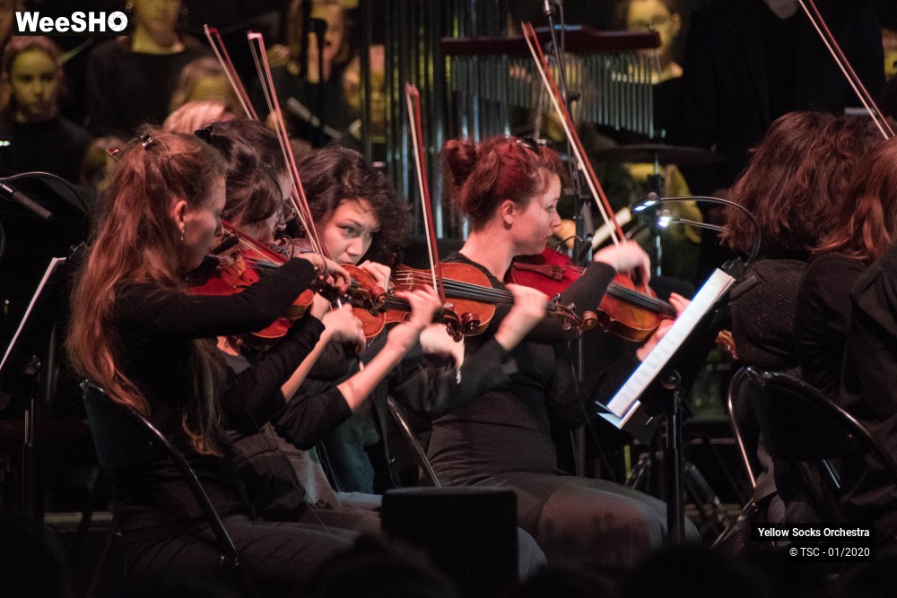 26/36 photos du spectacle The Fellowship of the ring en ciné concert