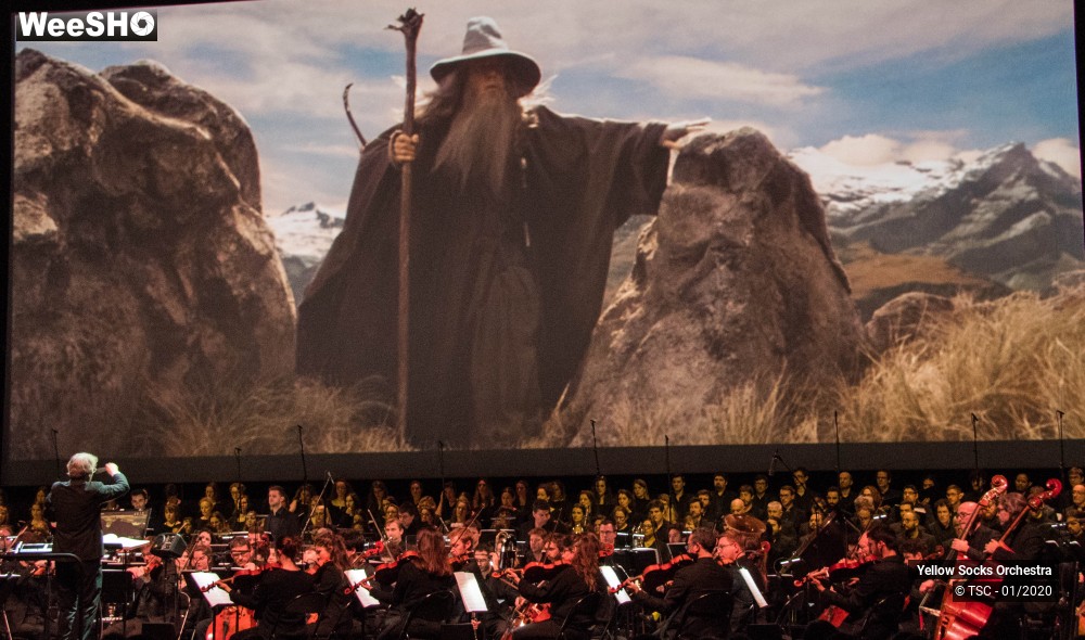 27/36 photos du spectacle The Fellowship of the ring en ciné concert