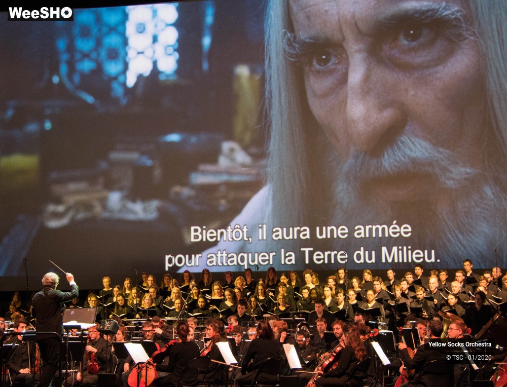 28/36 photos du spectacle The Fellowship of the ring en ciné concert