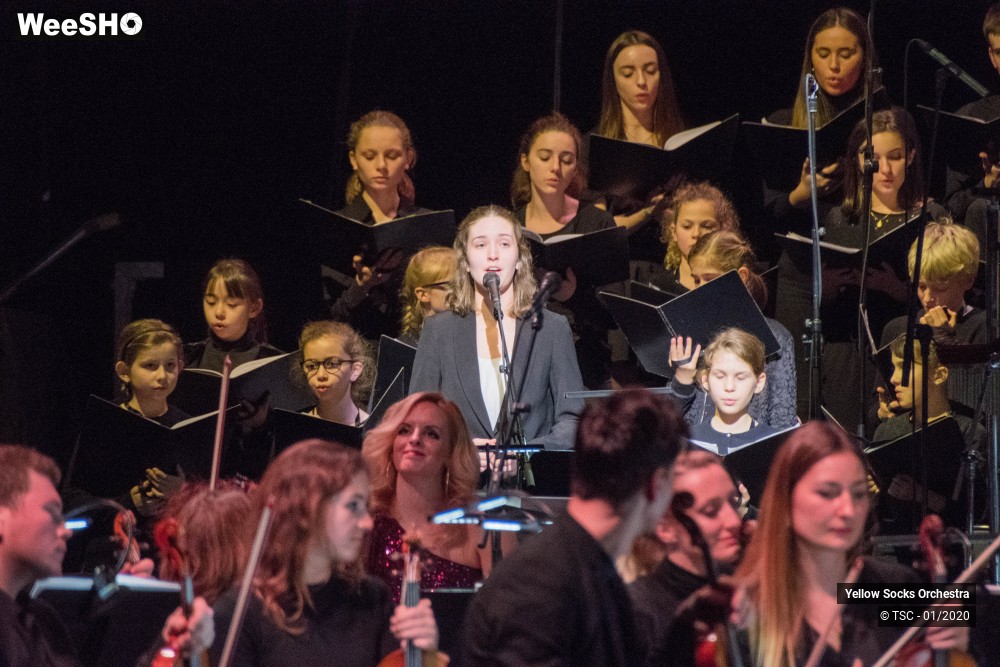 29/36 photos du spectacle The Fellowship of the ring en ciné concert