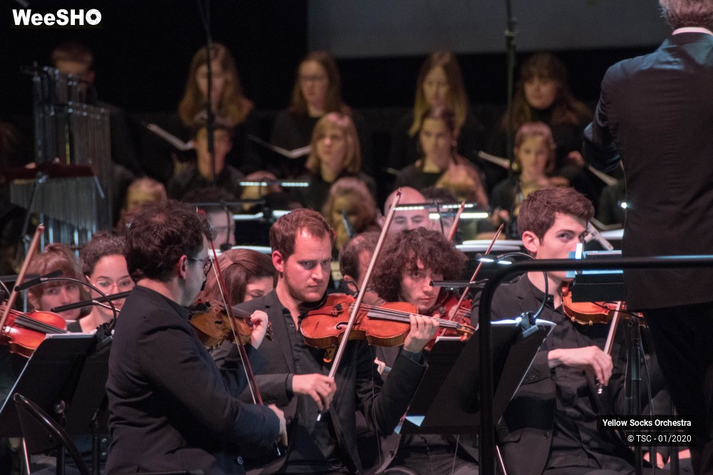 30/36 photos du spectacle The Fellowship of the ring en ciné concert