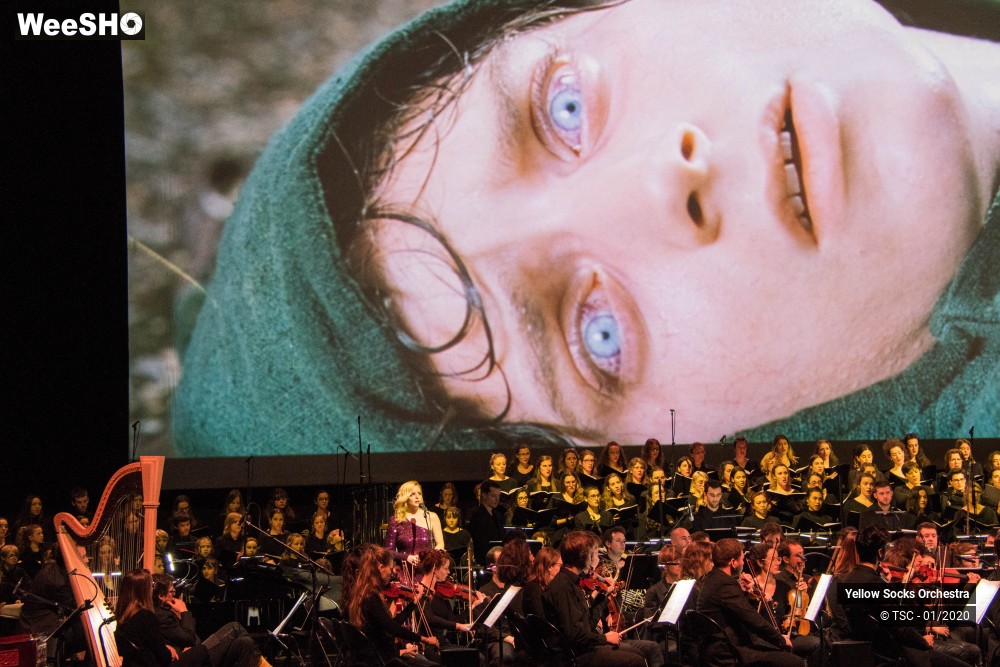 32/36 photos du spectacle The Fellowship of the ring en ciné concert
