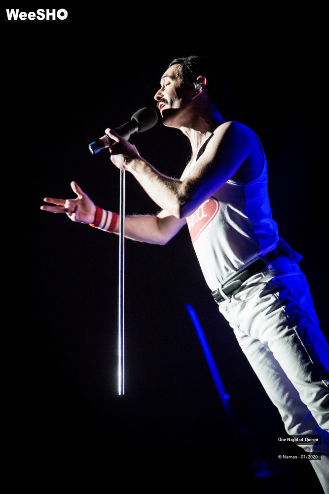 1/15 photos du spectacle One Night of Queen