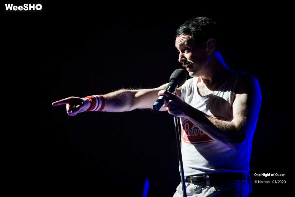 8/15 photos du spectacle One Night of Queen