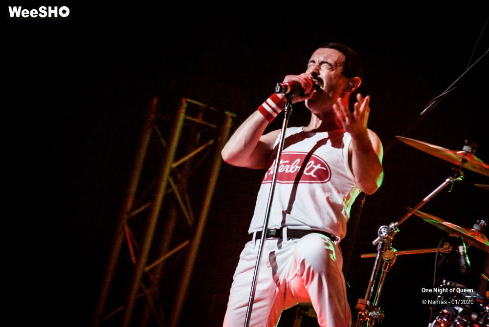 11/15 photos du spectacle One Night of Queen
