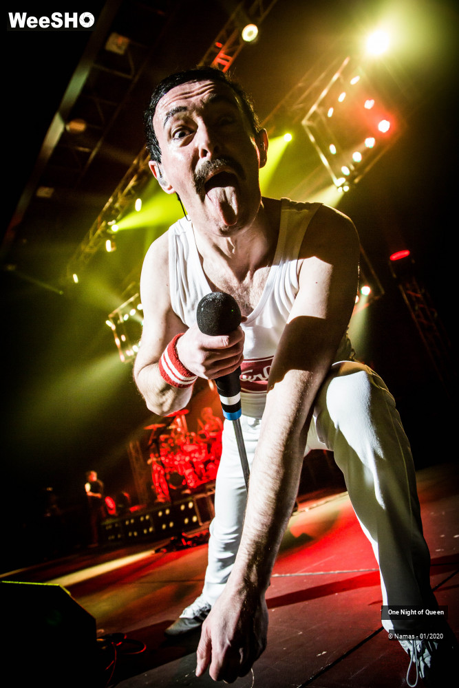 15/15 photos du spectacle One Night of Queen