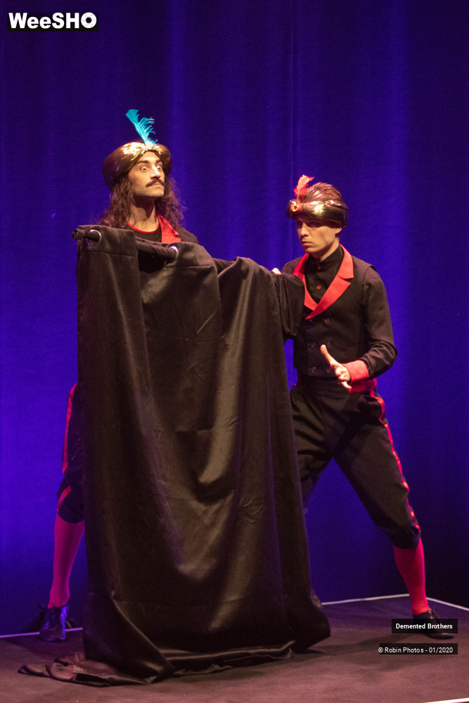 1/38 photos du spectacle Demented Brothers